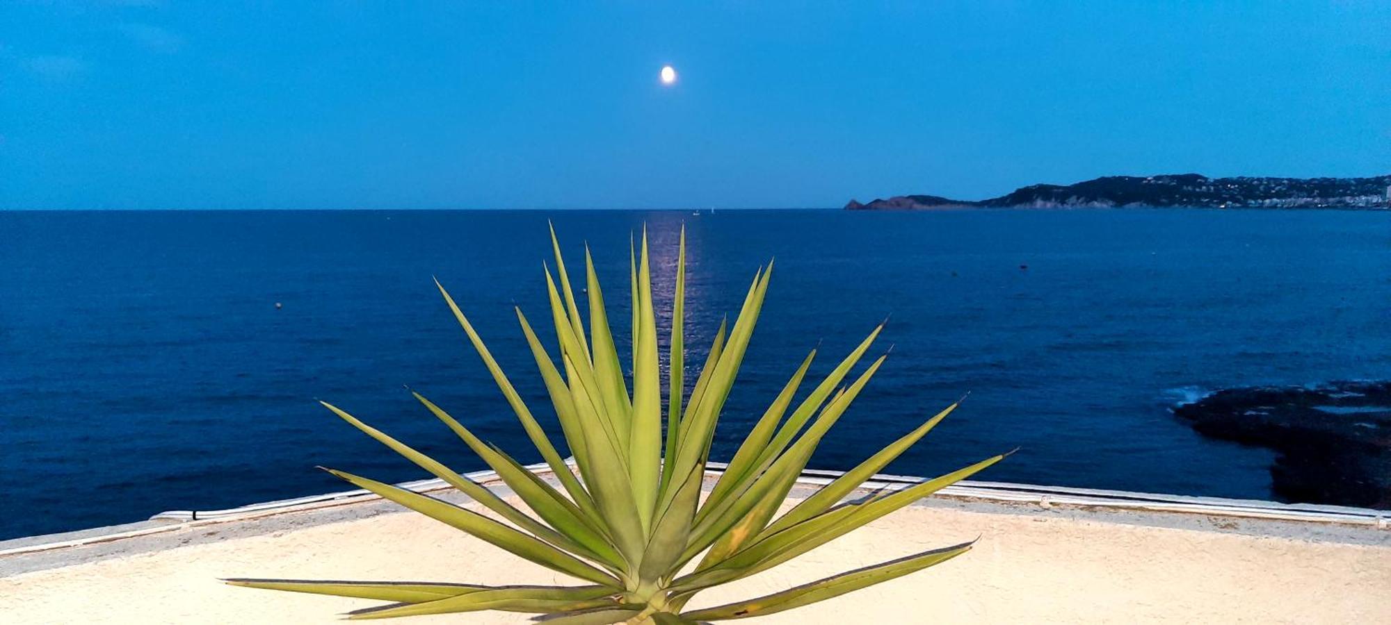 La Casa Del Port Apartment Javea Luaran gambar